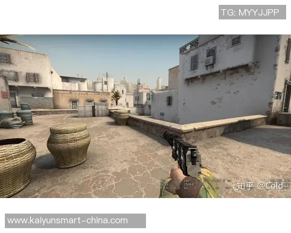 CSGO战术解析：深入探讨FPX快攻策略与执行细节