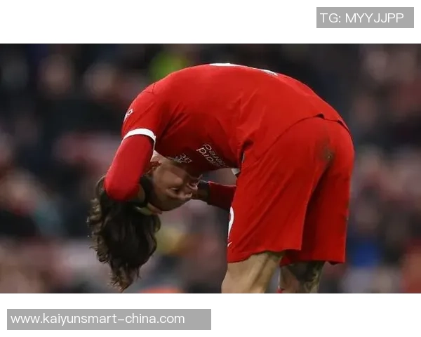 努涅斯在足球赛场的崛起与挑战解析及未来发展展望